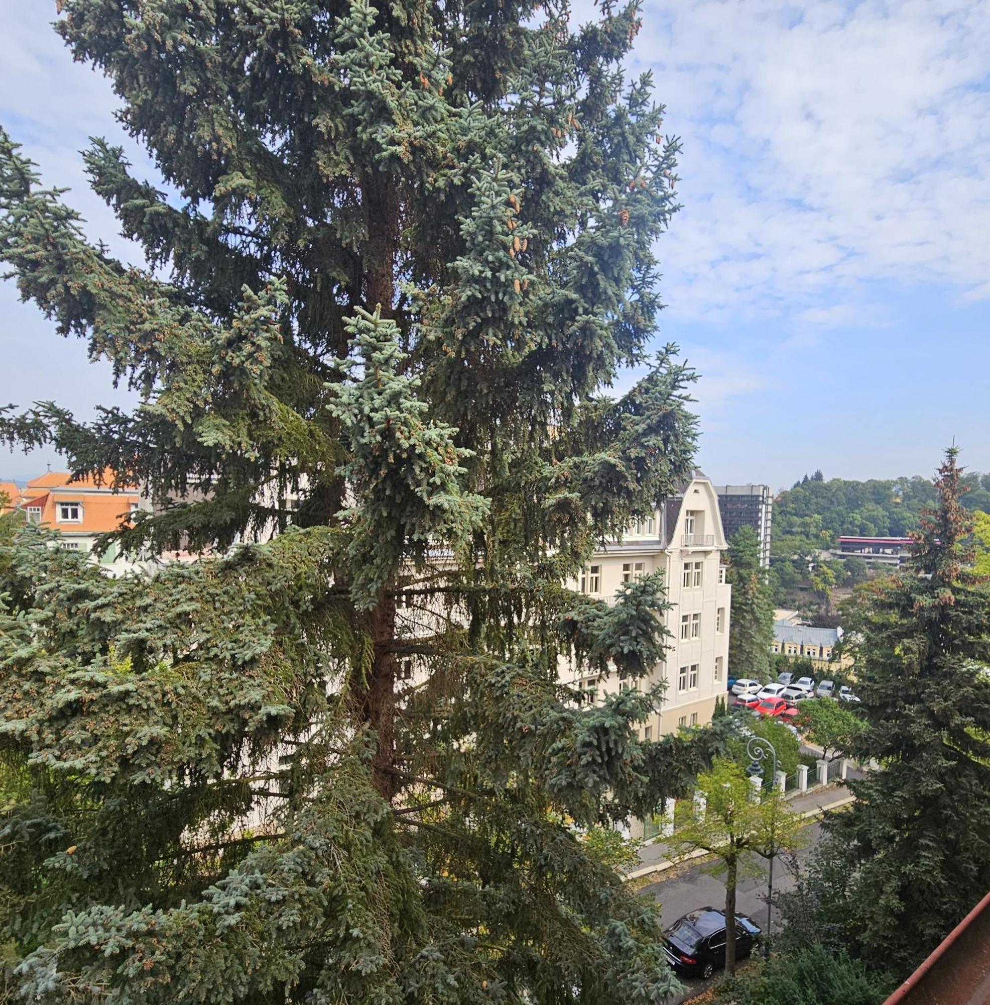 No 3 Podebradska 7, Apartmán *